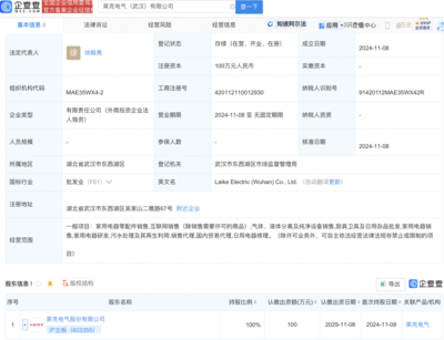 萊克電氣武漢布局新動(dòng)向:全資子公司盛大開業(yè),瞄準(zhǔn)家電市場(chǎng)新機(jī)遇!