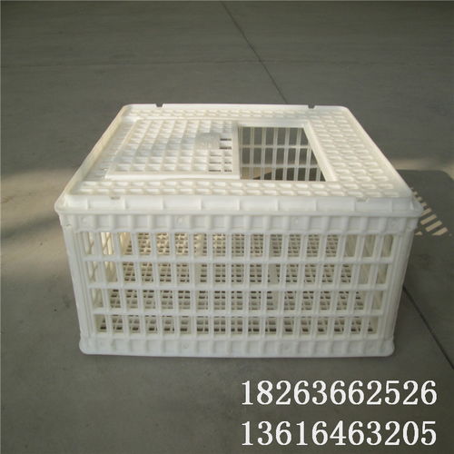 【塑料雞籠圖片和價格運輸雞筐批發】-